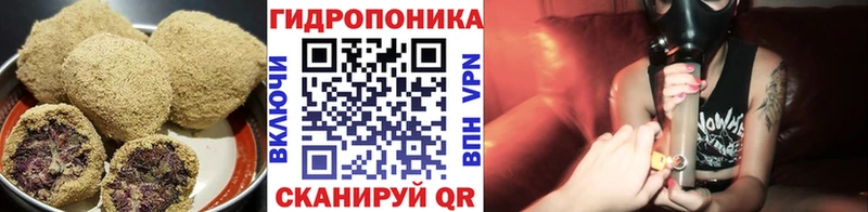 купить наркоту  Клинцы  Canna-Cookies конопля 
