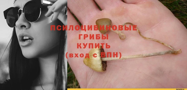 тгк Алексин