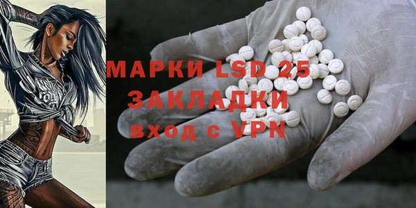 первитин Грязовец