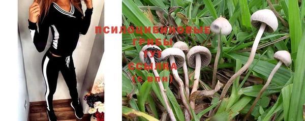 винт Абинск