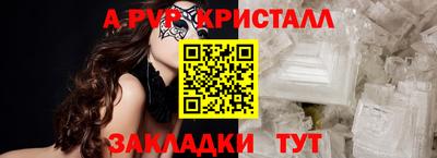 спиды Бийск