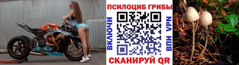 Псилоцибиновые грибы мухоморы  Клинцы 