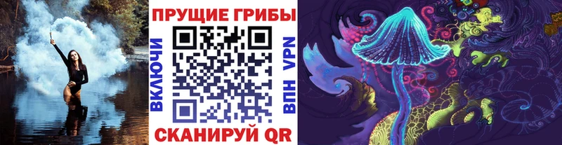 Псилоцибиновые грибы мицелий Клинцы