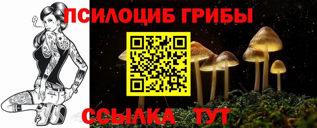 Псилоцибиновые грибы ЛСД Клинцы