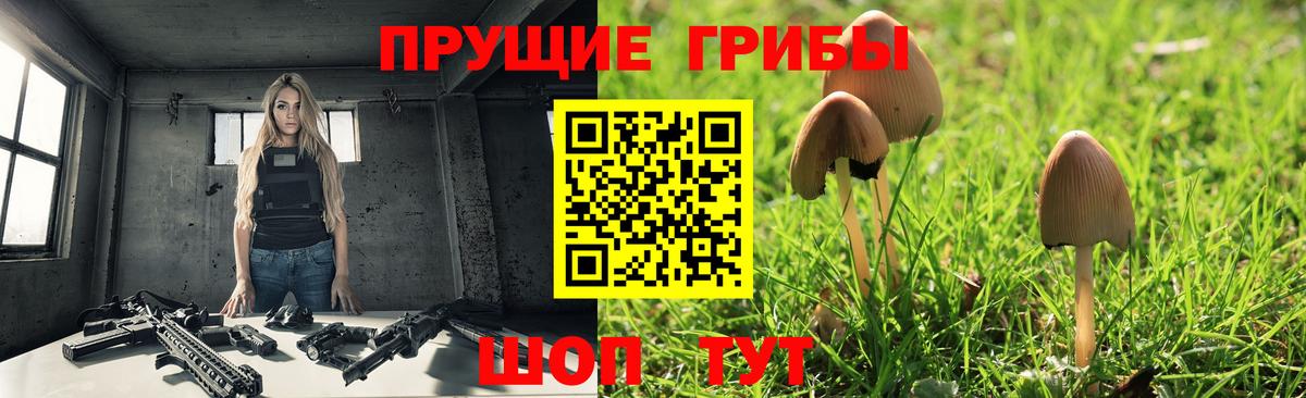 Псилоцибиновые грибы Psilocybine cubensis  Галлюциногенные грибы Psilocybe  Клинцы  Вход с VPN 