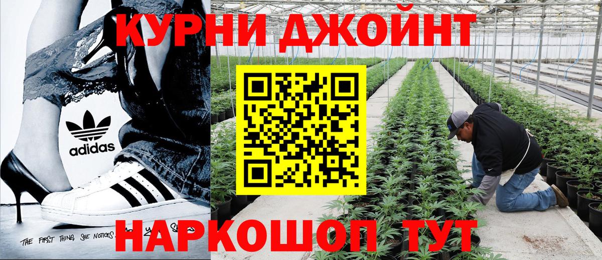 Каннабис планчик  Вход с VPN  Конопля гибрид  Клинцы 